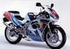 Suzuki RG125F Gamma Edelstahl Verkleidung & Frontscheibe (1992–1996)