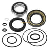 Honda Fourtrax TRX300 TRX300FW Rear Brake Drum Bearing Seals (1988–2000)