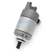 Aprilia Scarabeo 125 200 Starter Motor (2007-2014)