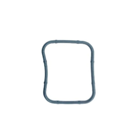 Citroen C2, Ford, Peugeot Injector Manifold Seals (2003-2010)