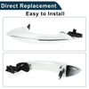 BMW F07 F10 F11 Front Right Black White Exterior Door Handle