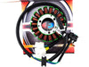 Suzuki GN125 Stator Magneto Generator Assembly (1982-2001)