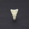 Toyota T100, Lexus ES250, ES300, ES330 Radiator Drain Plug Cock (1993-2004)