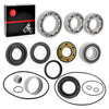 Suzuki Ozark 250 Rear Differential Axle Bearing Seal (2002-2009, 2012-2014)