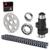 Yamaha Warrior Big Bear Timing Cam Chain Gear Bearings Kit (1987–2004)