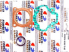Honda QR50 Top End Engine Gasket Set (1982-2003)