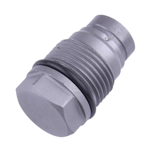 Chrysler Voyager, Kia, Nissan Fuel Rail Pressure Relief Valve