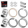 Polaris RZR STD 80mm Piston & Rings (2008–2010)
