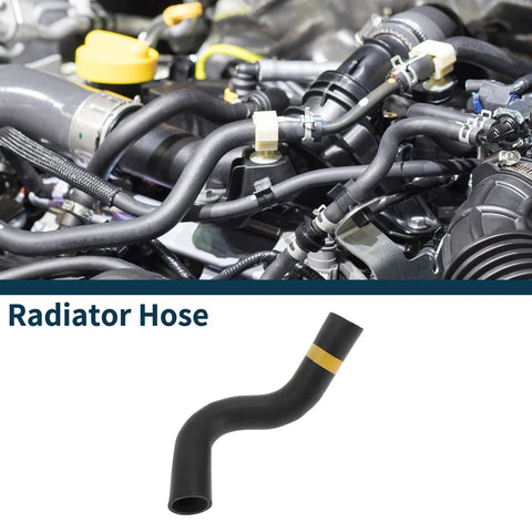 Toyota Prado 4.0L TX Radiator Hose (2010-2019)