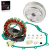 Yamaha Rhino YXR 660 Stator & Flywheel Rotor & Gasket (2004–2007)