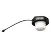 Nissan Titan Armada 5.6L V8 Fuel Tank Gas Fill Cap (2005-2007)