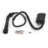 Yamaha Raptor 660R, Grizzly 660 Ignition Coil (2001-2005)