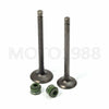 Intake/Exhaust Valves & Spring Honda XR100R/ XR80R/ CRF100F/ XL80