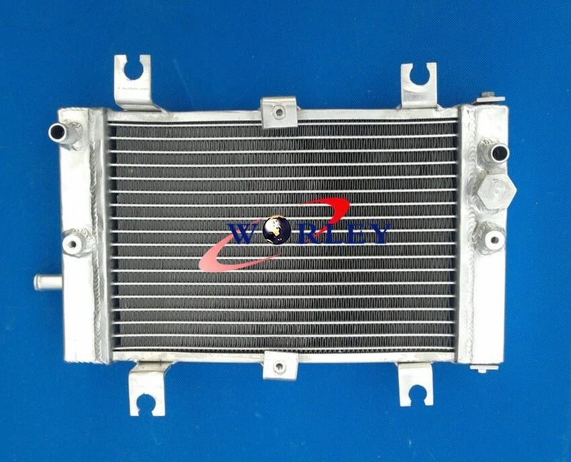 Can-Am DS250 2006-2012 Full Aluminum Radiator (06-12)