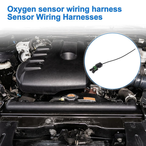 Chevrolet Cruze 1-Pin Sensor Wiring Harness (2010 - 2015)