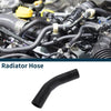Lexus GS350 Radiator Hose (2006-2011)