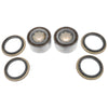 Nissan Skyline R32 R33 R34 Front Wheel Bearing Kits + Grease (1989 - 2000)