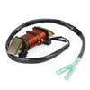 Mercury 9.9, 15, 18, 25, 30 HP Coil Lighting