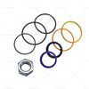 Bobcat A300 T300 S300 Hydraulic Ram Lift Cylinder Seal Kit