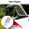 Buick Rainier Tailgate & Rear Window Lift Supports Struts (2004–2007)