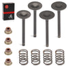 EZGO Gas 4 Stroke 295cc 350cc Intake & Exhaust Valve Set with Seals (1996–2026)