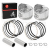 Kawasaki Engine Rebuild Kit with Seals, Pistons & Rings