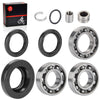 Rubicon TRX500FA / TRX500FGA Rear Differential Bearing Seal Kit (2005–2012)