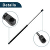 Nissan Murano Z50 Hood & Hatch Lift Supports (2003-2007)