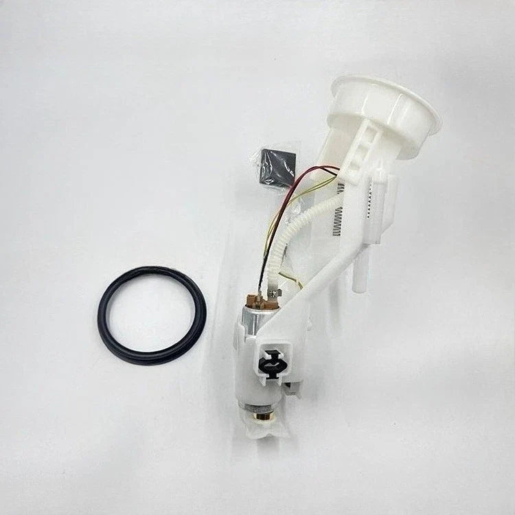 BMW X5 Fuel Pump Module (2000–2006)