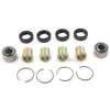 Honda TRX300EX TRX400EX Front A-Arm Bearing Kit (1993-2008)