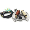 Yamaha YFS200 Blaster Stator Coil (2003-2007)