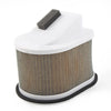 Kawasaki Z1000, Z800, Z750 Air Filter (2003-2009, 2013-2016, 2004-2012)