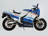 Suzuki RG500 Gamma Inox / 2 x / Fork Headstock & Windscreen Bolts (1985–1987)