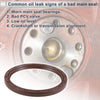 Chevrolet Malibu Rear Crankshaft Oil Seal NBR Rubber (1996-2003)