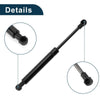 Nissan Sentra Rear Hatch Lift Supports (2000-2006)