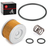 Honda FourTrax 300 TRX300 2 x Oil Filter & Spring (1998–2000)