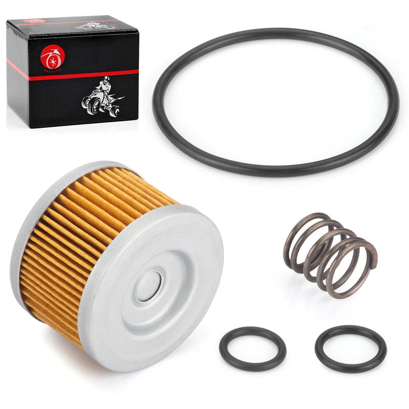 Honda FourTrax 300 TRX300 2 x Oil Filter & Spring (1998–2000)