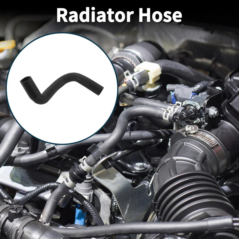 Toyota Camry Lower Radiator Hose (2018)