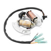 Yamaha Blaster 200 Flywheel Rotor & Stator Magneto (1990–2002)