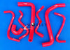 HOLDEN Commodore VY VT VX VU WH V6 3.8L Silicone Radiator Hose (2000-2006)