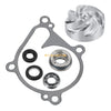 Kawasaki Prairie 700 KVF700 Water Pump Impeller Bearing Seals (2004-2006)