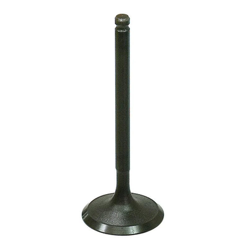 Polaris RZR 170 Bronco Engine Intake Valve (2009–2021)