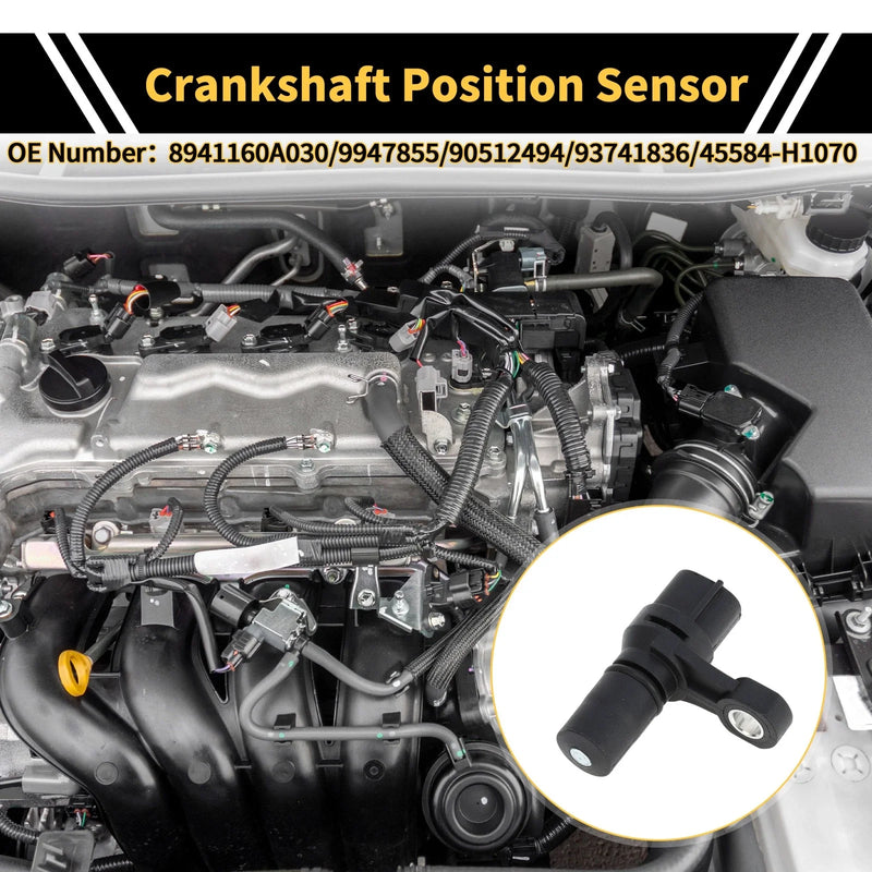 KIA Sedona 2.5 V6 (1999-2001) 1 Pc Black Crankshaft Position Sensor