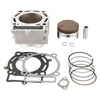 Gas Gas Cami EC 250, AJP PR5 250, Zongshen NC 250 250cc Cylinder Kit