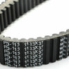 Arctic Cat Ski-Doo Timing Belt (2000-2023)