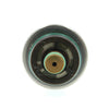 Holden Commodore VT VU VX VY Fuel Pressure Regulator (1997-2007)