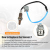 Honda Accord Oxygen Sensor (2003-2007)