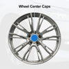 Toyota Sequoia Wheel Center Cap 1 Pc (2001–2024)