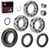 Honda Foreman Rear Diff. Oil Seal & Bearing Kit (2000–2014)