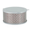 Daelim Daystar VL 125 Air Filter Insert (2000-2005)